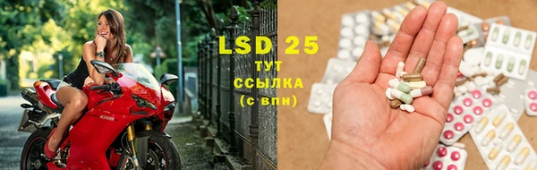 ПСИЛОЦИБИНОВЫЕ ГРИБЫ Заволжье