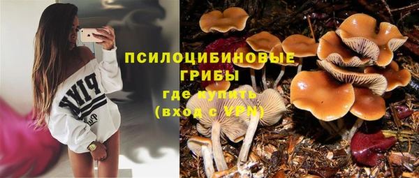 МДПВ Алексин