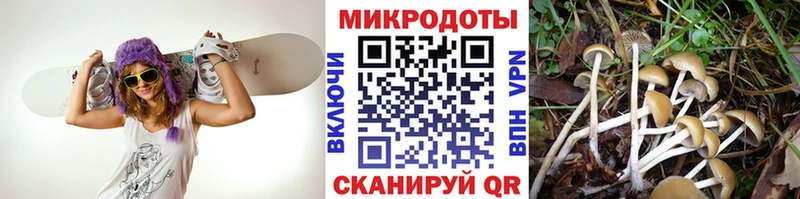 ссылка на мегу зеркало  Белорецк  Галлюциногенные грибы мухоморы 